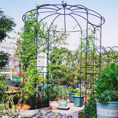 Birdcage Shape Gazebo for Climbing Plants and Wedding Ceremony Decoration